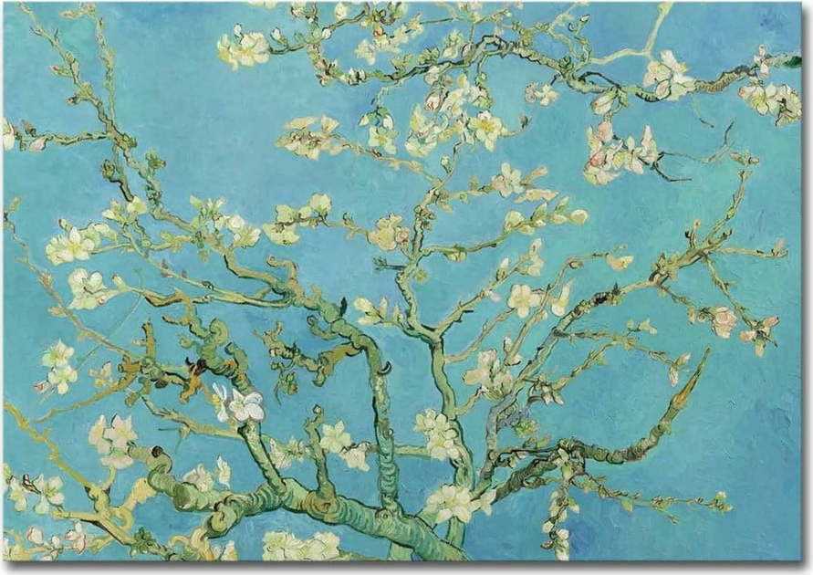 Nástěnná reprodukce na plátně Vincent Van Gogh Almond Blossom