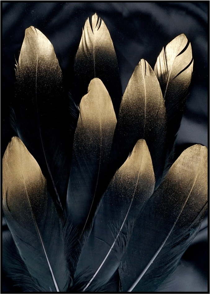 Obraz 30x40 cm Golden Feather – Malerifabrikken