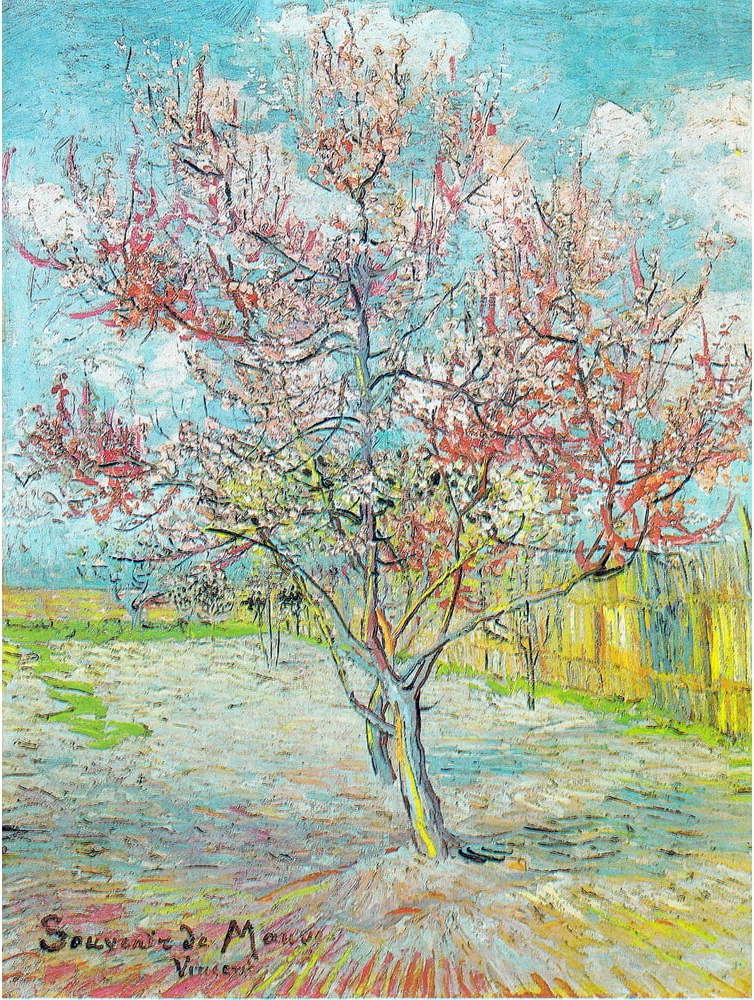 Obraz - reprodukce 30x40 cm Pink Peach Trees