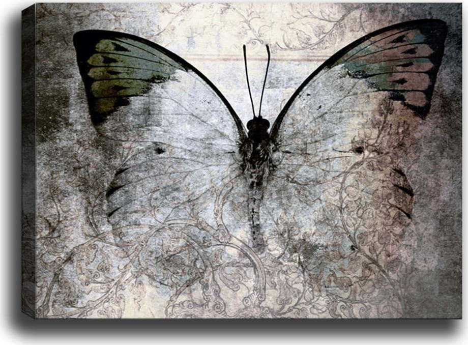 Obraz Tablo Center Fading Butterfly