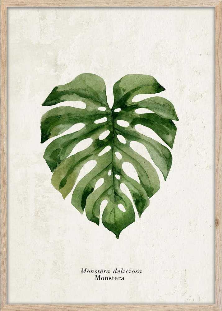 Plakát v rámu 50x70 cm Monstera – Styler