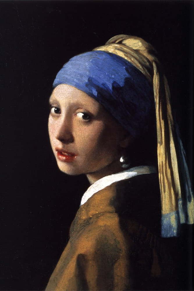 Reprodukce obrazu 30x40 cm Girl with a Pearl Earring - Fedkolor