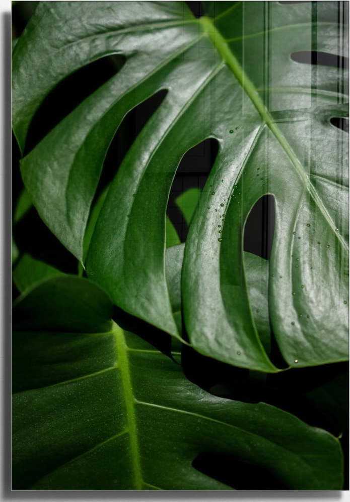 Skleněný obraz 70x100 cm Monstera – Wallity