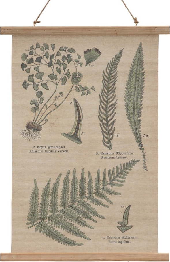 Tapiserie 50x70 cm Fern – Ixia