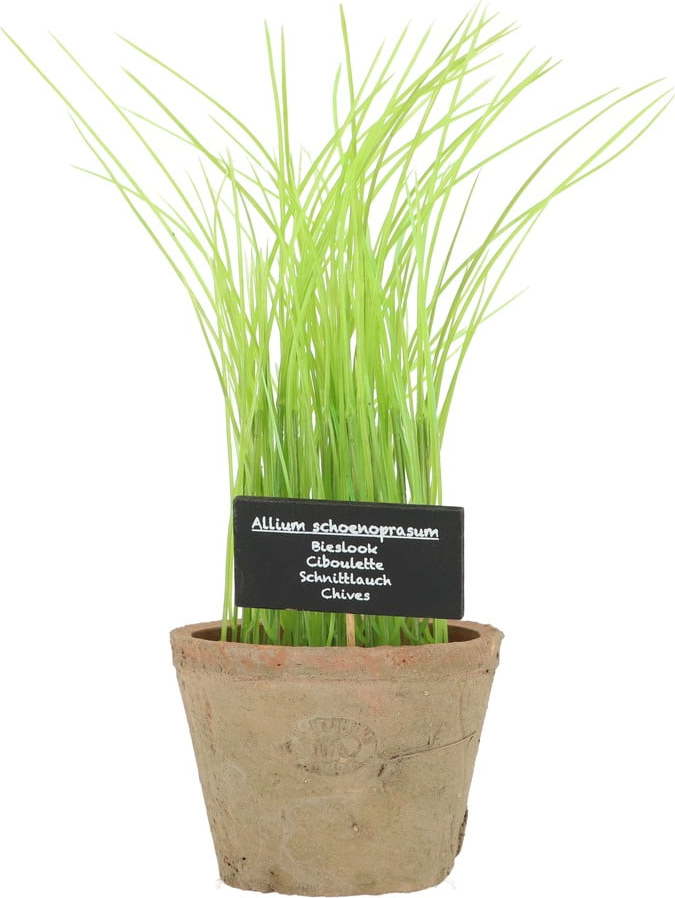 Umělá rostlina (výška 27 cm) Chives – Esschert Design