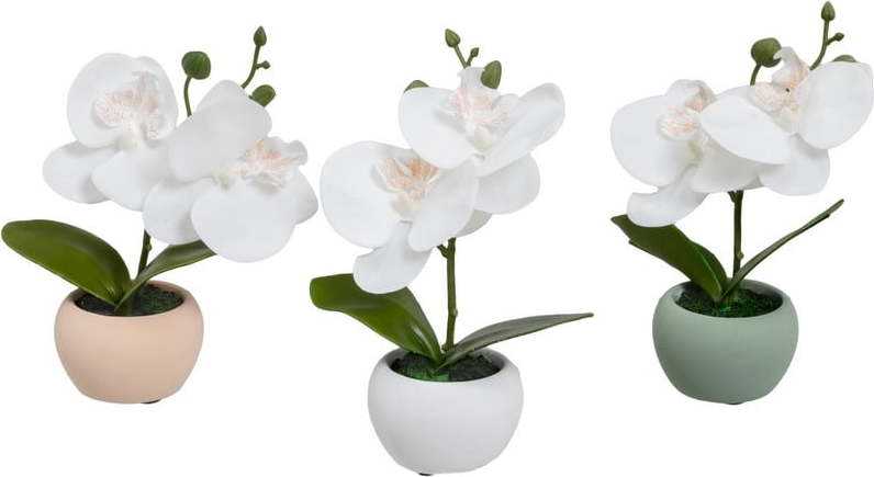 Umělé rostliny v sadě 3 ks (výška 15 cm) Orchid – Casa Selección