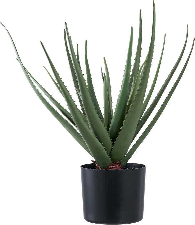 Umělá rostlina (výška 51 cm) Aloe Vera – House Nordic