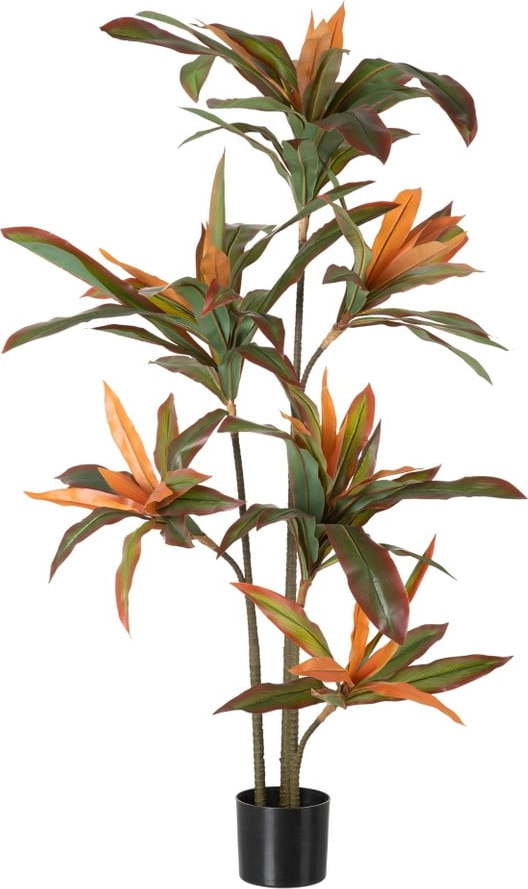 Umělá rostlina (výška 140 cm) Dracena – Ixia