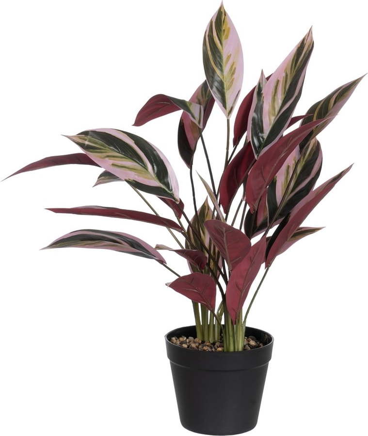 Umělá rostlina (výška 55 cm) Bird of Paradise – Ixia