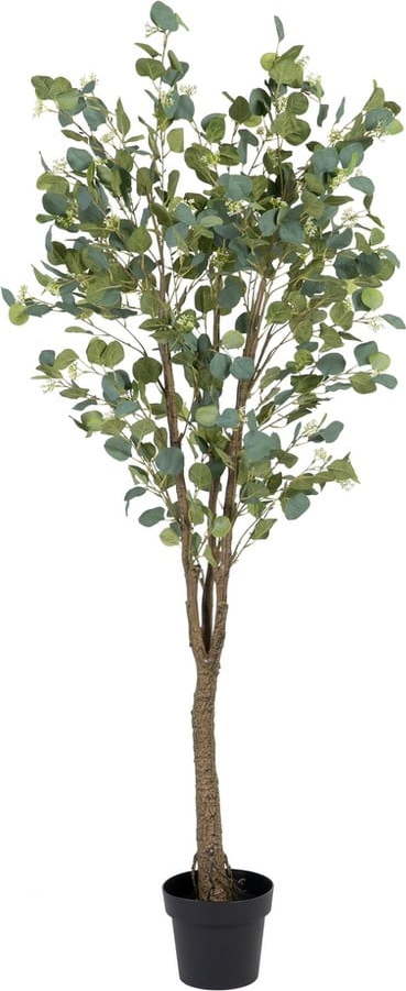 Umělý eukalyptus (výška 173 cm) Eucalyptus – Ixia