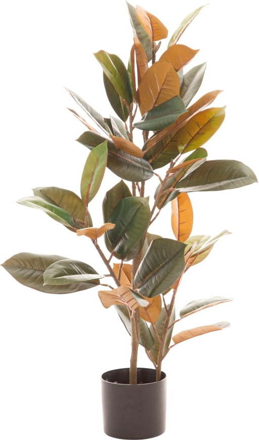 Umělý fíkus (výška 90 cm) Ficus – Ixia