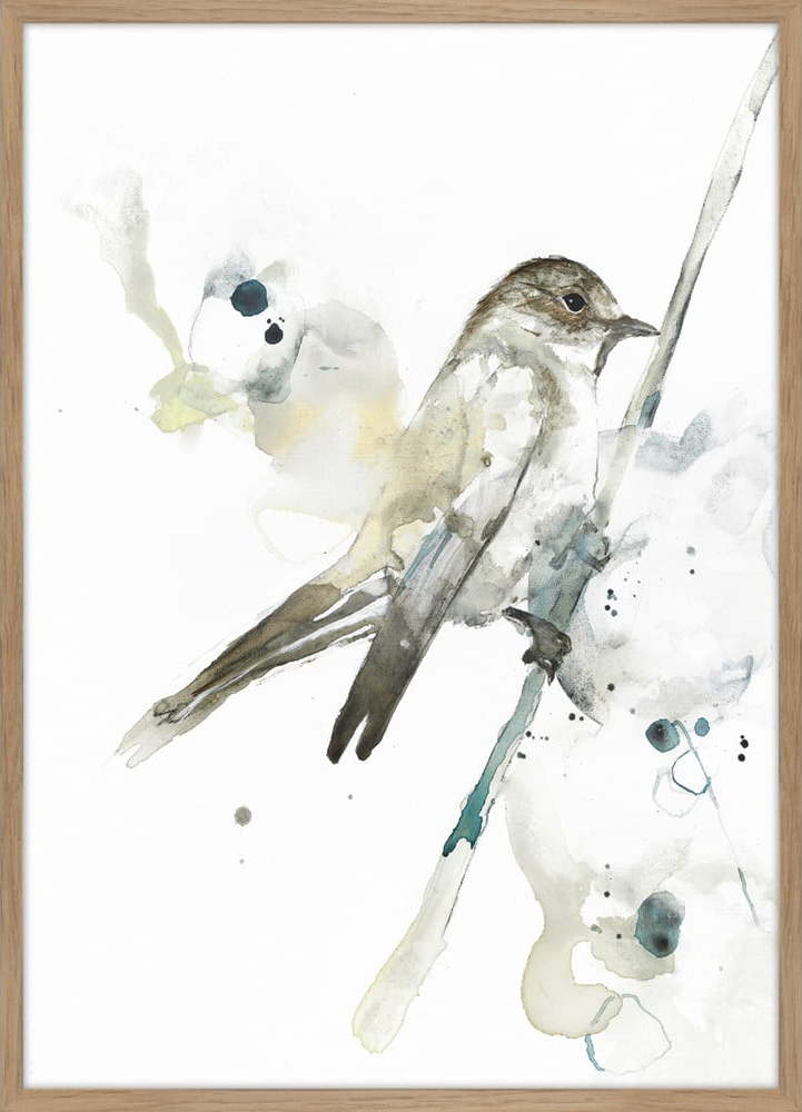 Plakát v rámu 50x70 cm Bird 2 – Malerifabrikken